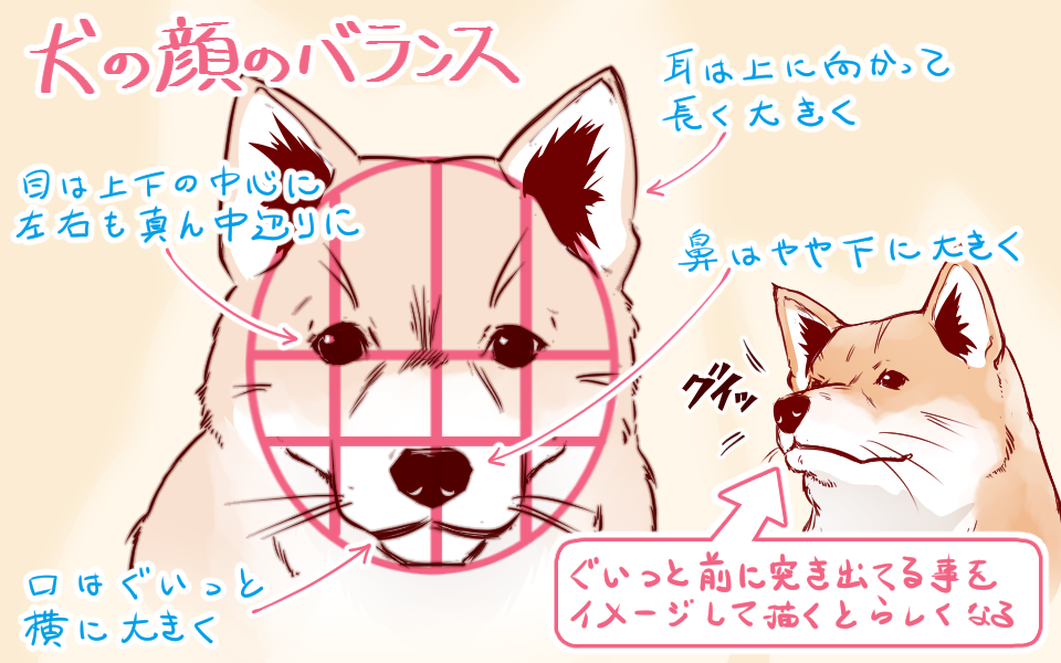 イラストや漫画に使える 上手な犬 猫の描き方 イラスト マンガ