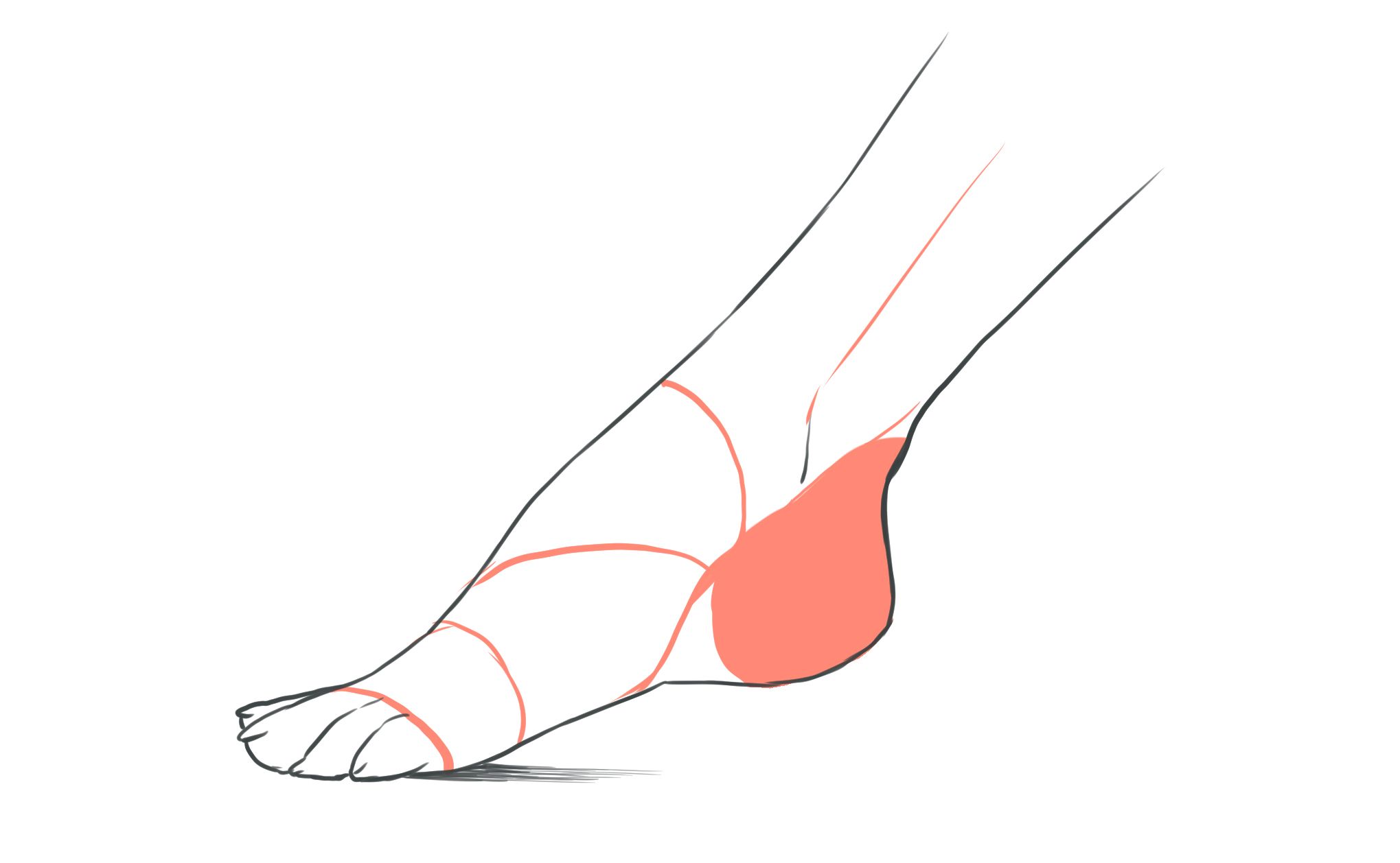 パーツ分けで描ける 足の描き方講座 イラスト マンガ描き方ナビ