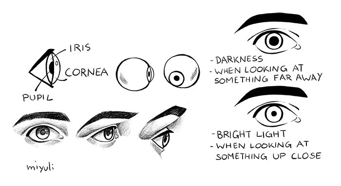Easy Tips For Drawing Eyes Art Rocket