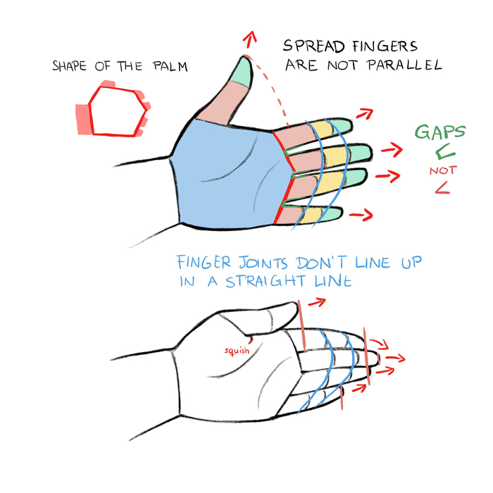 An art tutorial on how to draw hands. : r/midjourney