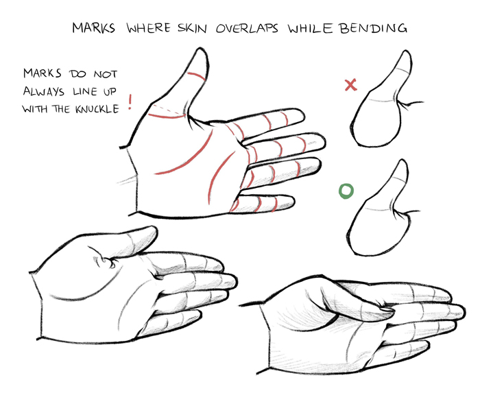 How to Draw Dynamic Hand Poses - Step by Step 1 - YouTube