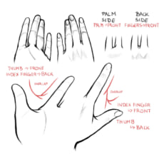 Hand and Feet Tutorial | Art Rocket