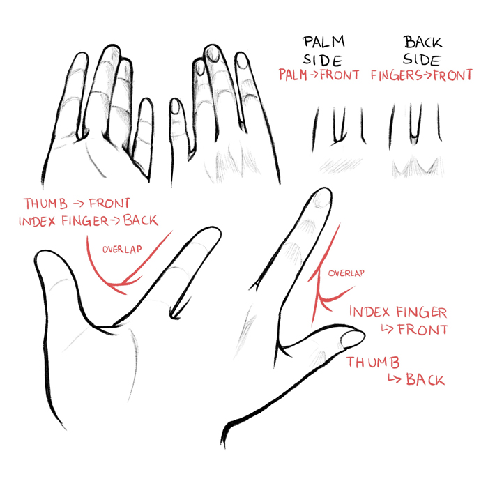 How to Draw a Thumbs Up Sign - Really Easy Drawing Tutorial