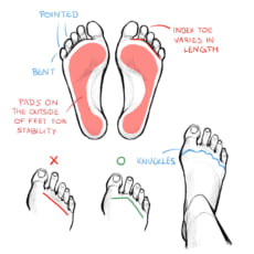 Hand and Feet Tutorial | Art Rocket