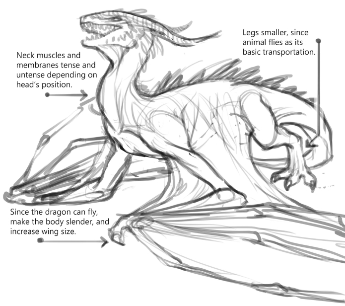 Pictures And Drawings of Dragons For Sketching