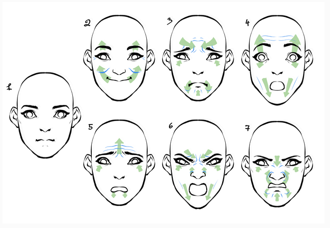 How to Draw a Cartoon Face Facial Expressions 