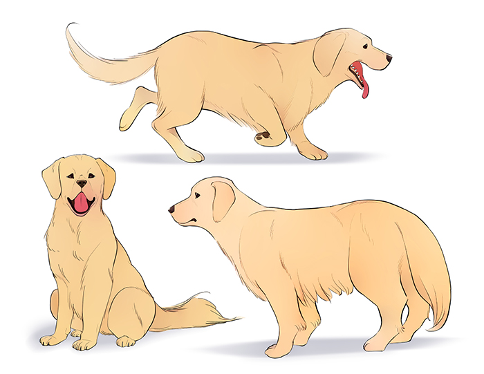 Golden retriever puppy Vectors  Illustrations for Free Download  Freepik