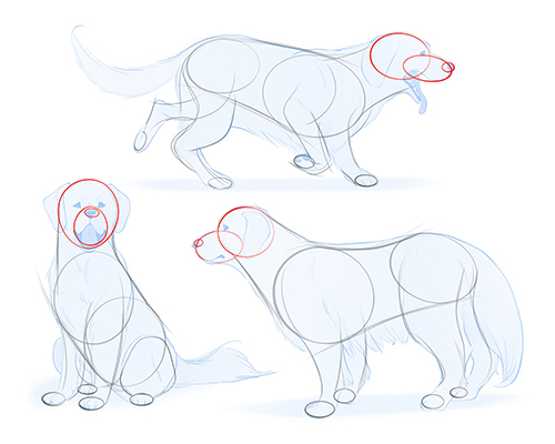 Line Drawing Pictures Of Dogs To Draw