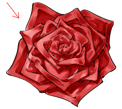 Premium Vector | Beautiful rose flower hand drawn sketch.vector  illustration.