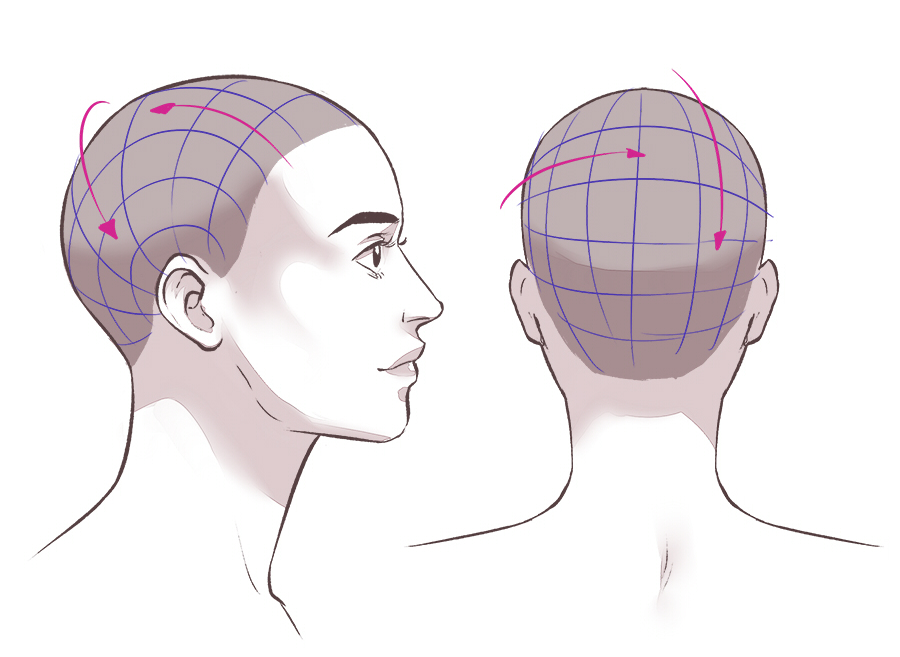 References for how to lighten the head at multiple angles : r/AnimeSketch