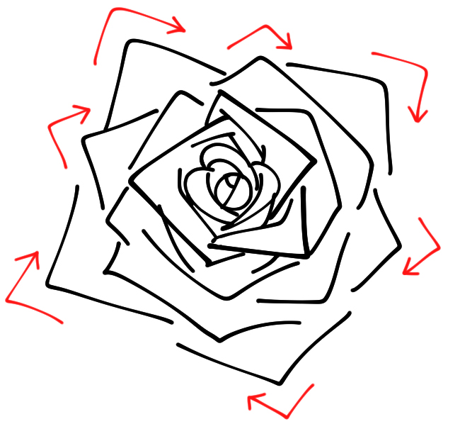 Rose Zeichnen Einfach Anleitung