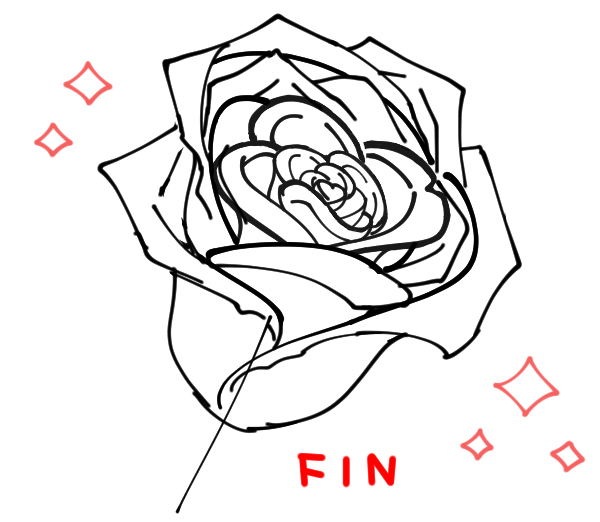 rose drawing for beginners