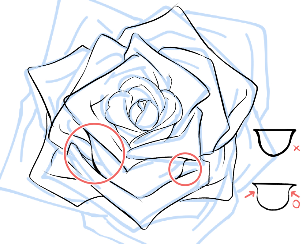 Cartoon Rose Drawing - How To Draw A Cartoon Rose Step By Step