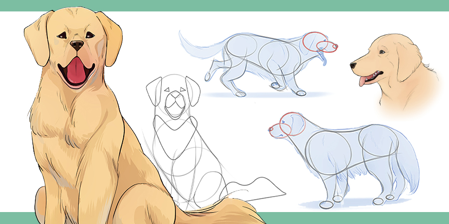 How to Draw a Dog  Step by Step Drawing Tutorial for a Cute Cartoon Dog   Easy Peasy and Fun