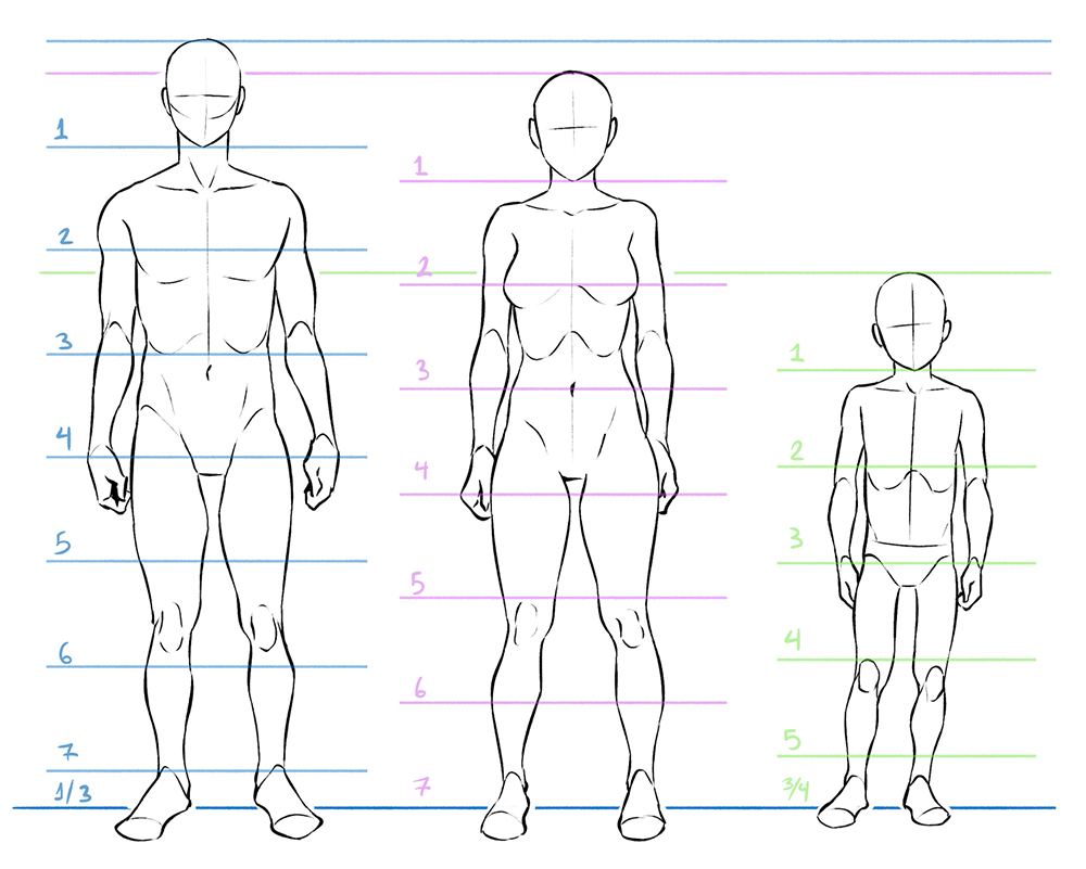 Dessiner ou peindre le corps humain – Eléments d'anatomie – Partie n° 1