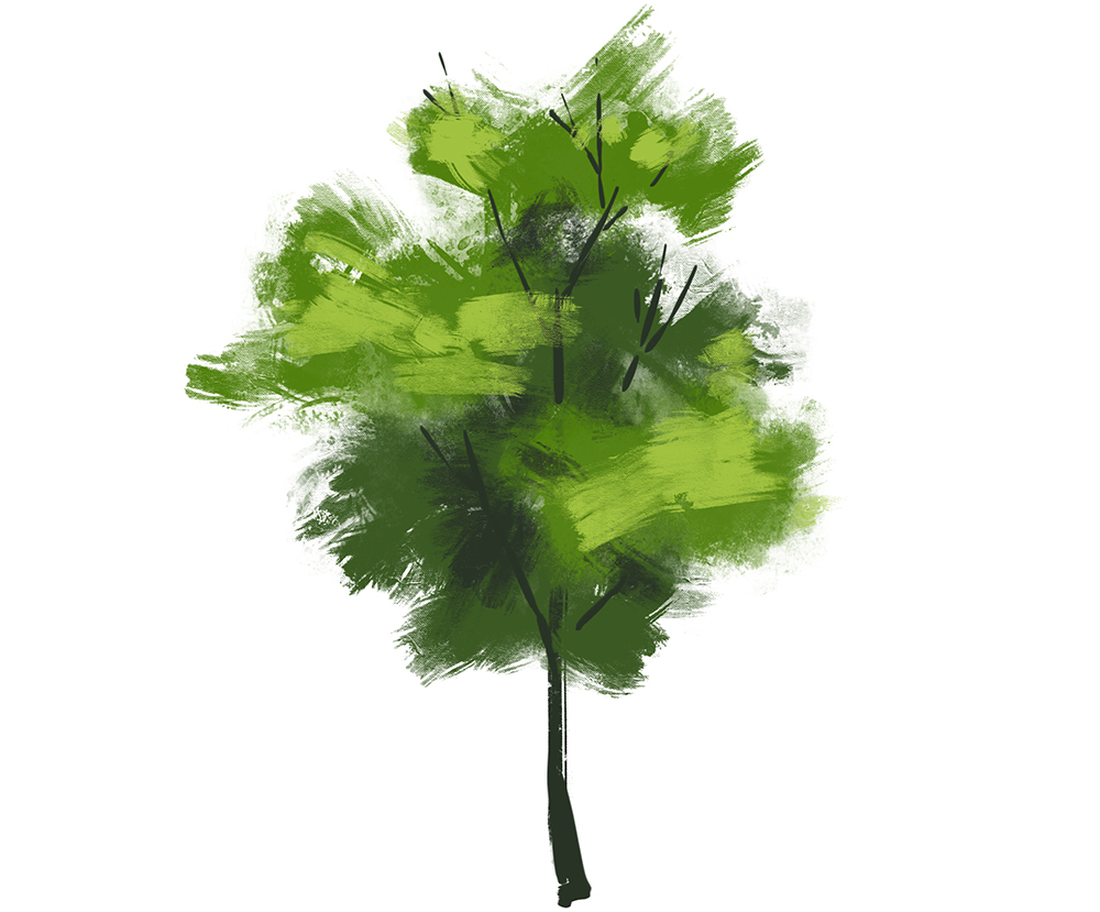 drawings of trees with leaves colored