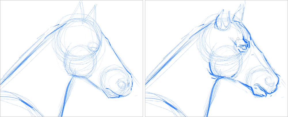 How To Draw a Horse  Sketch Masterclass 5  YouTube