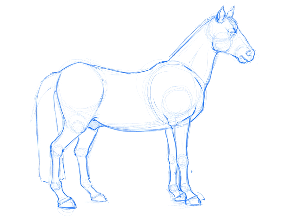 Learn How to Draw a Horse (Farm Animals) Step by Step : Drawing Tutorials