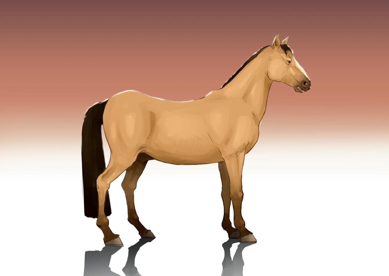  How To Draw A Mustang Horse of the decade The ultimate guide 