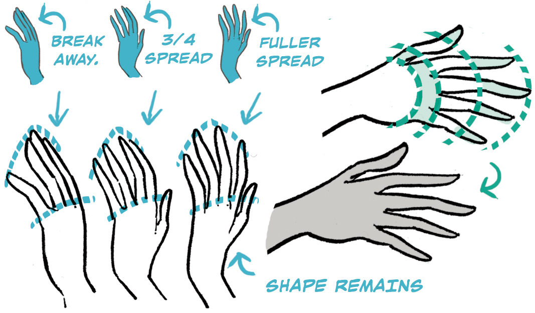 hand drawing how to draw hands finger positioning