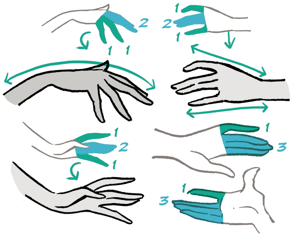 hand drawing how to draw hands finger positioning