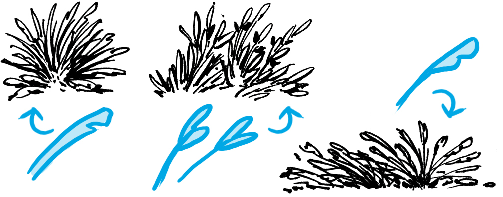 how to draw grass