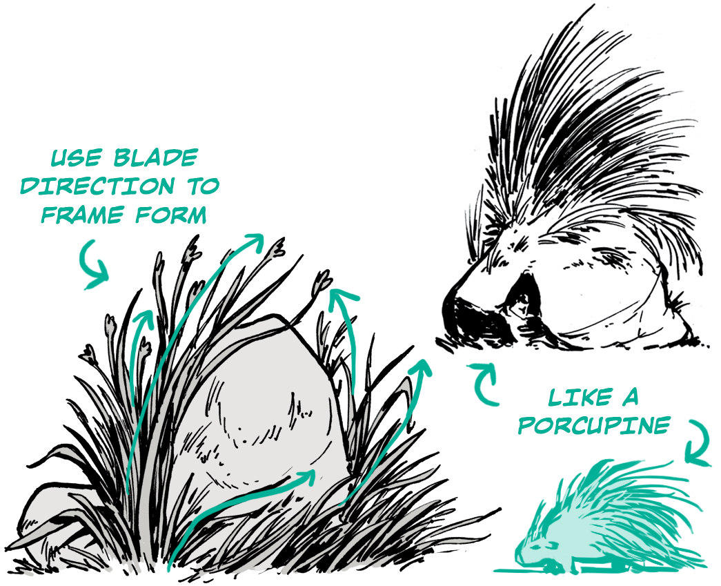 how to draw grass