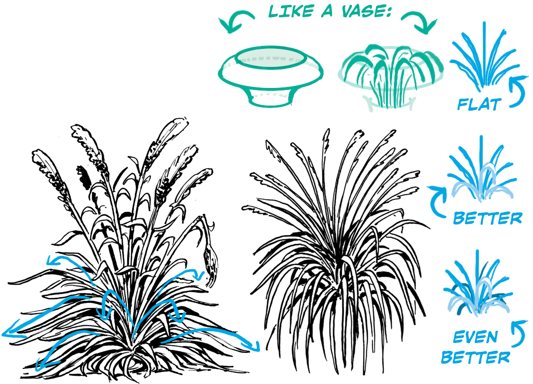 how to draw grass