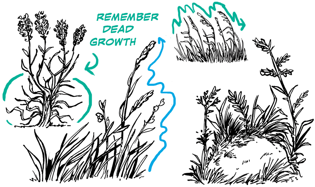 how to draw clusters of grass