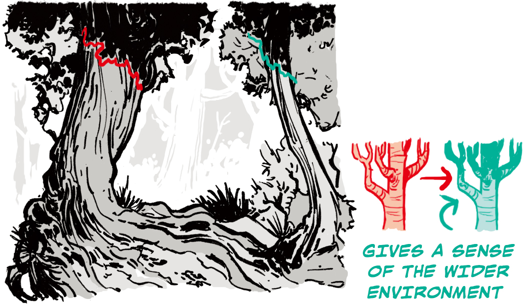 how to draw forests