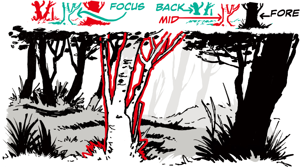 how to draw forests