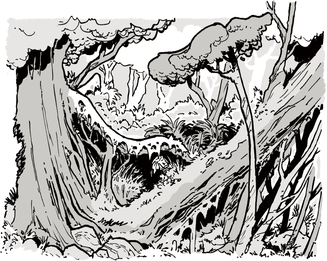 how to draw forests