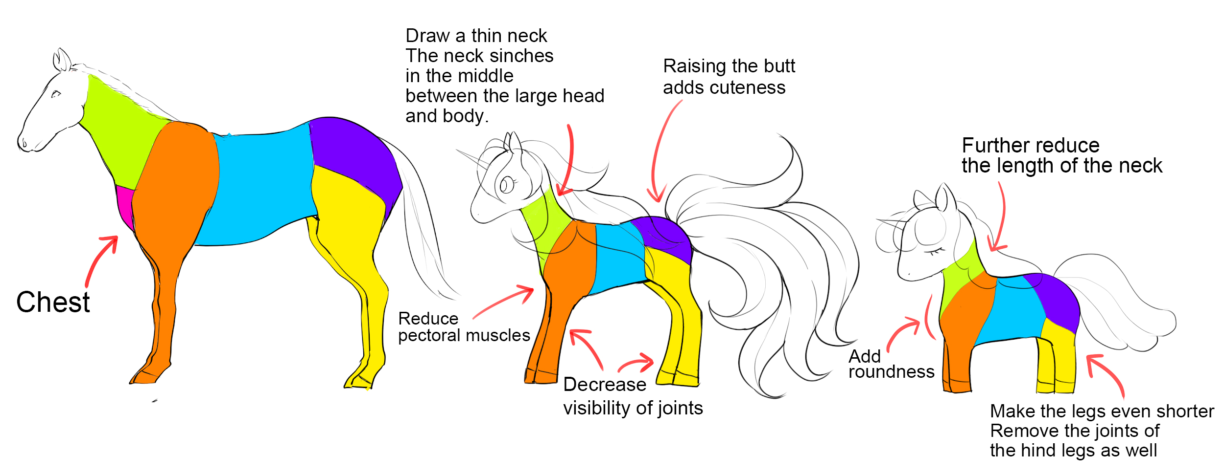 Chest
Draw a thin neck
The neck sinches in the middle between the large head and body.
Raising the butt adds cuteness
Reduce pectoral muscles
Decrease visibility of joints
Further reduce the length of the neck
Add roundness
Make the legs even shorter
Remove the joints of the hind legs as well